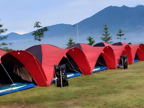 Une rangée de tentes rouges et noires dans un champ dans l'établissement X CampGround, à Bukittinggi