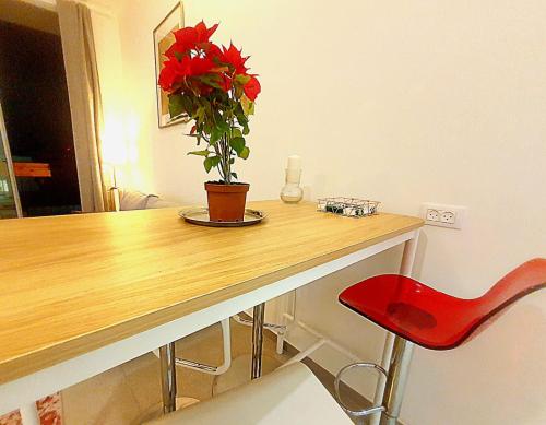 Φωτογραφία από το άλμπουμ του Spacious New 1BD Levinski Florentin στο Τελ Αβίβ
