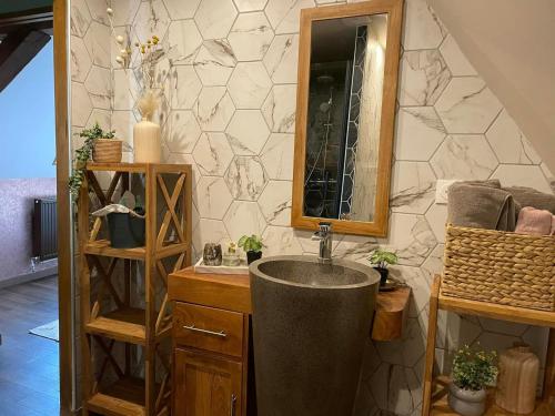 une salle de bain avec un lavabo et un miroir dans l'établissement Chambre confortable, à Saint-Amand-les-Eaux