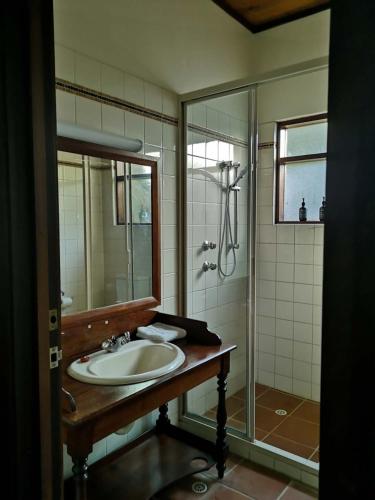 a bathroom with a sink and a shower at Karriview in Gracetown