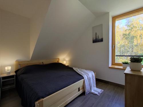 um quarto com uma cama e uma janela em Hojsova Stráž Brčálník Apartmán Hannzi em Železná Ruda