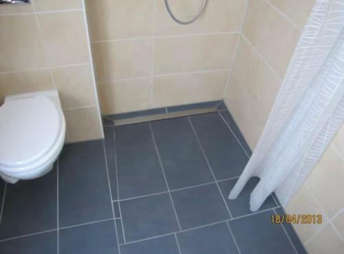 a bathroom with a toilet and a shower curtain at Henneliebe am Hennesee in Meschede