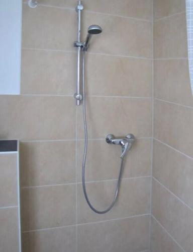 a shower with a shower head in a bathroom at Henneliebe am Hennesee in Meschede