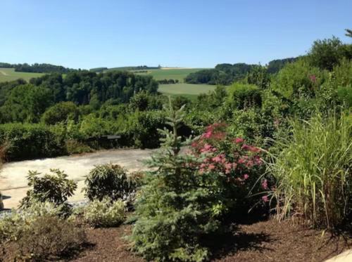 a garden with plants and flowers on a hill at Henneliebe am Hennesee in Meschede