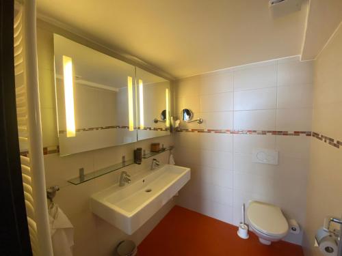a bathroom with a sink and a toilet and a mirror at Boutique Hotel & Bio Wirtshaus Schwarzer Bock in Ansbach