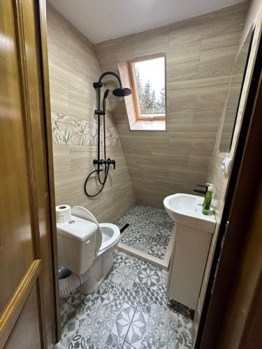 a bathroom with a toilet and a sink and a tub at Cabana Cerbului in Cluj-Napoca