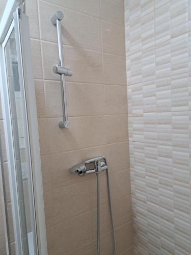 a shower with a shower head in a bathroom at Penzion Labužník in Lovosice