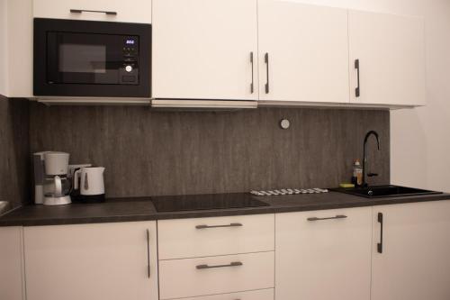 Kuchyň nebo kuchyňský kout v ubytování Hotel Klimt