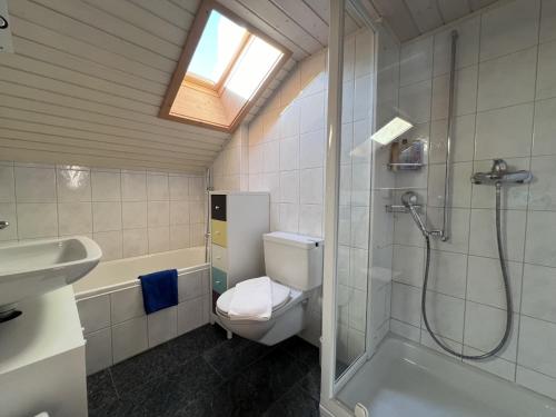 uma casa de banho com um WC, um chuveiro e um lavatório. em Chalet Tilia Penthouse em Wengen