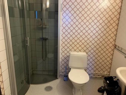 a bathroom with a shower and a toilet and a sink at Hemfjällsbyn 17A in Sälen