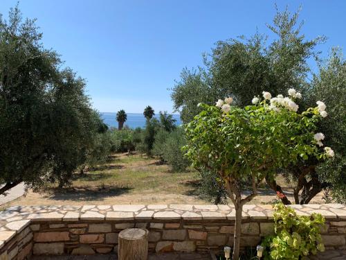 a row of trees and a stone wall at Sea melodies apartment 1 in Koroni