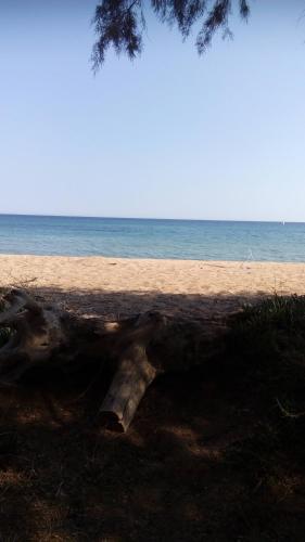 a tree trunk laying on the beach next to the ocean at Sea melodies apartment 1 in Koroni