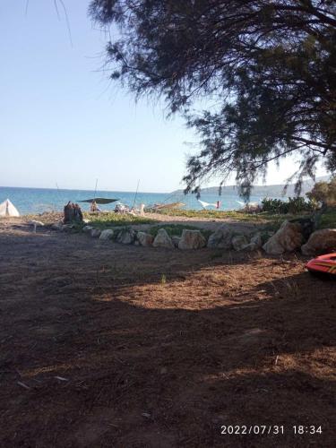 a view of a beach with a tree and the ocean at Sea melodies apartment 1 in Koroni