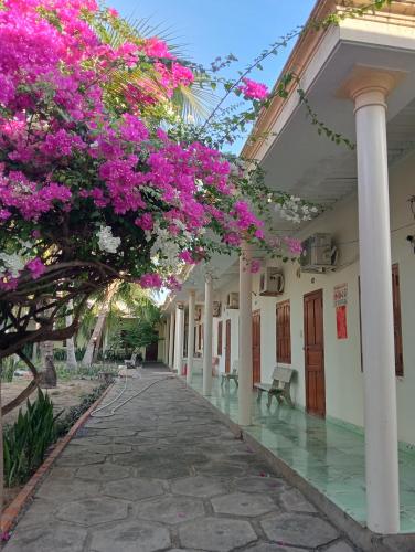 a corridor of a building with bougainvillea at Homestay Nhật Thi in Mui Ne