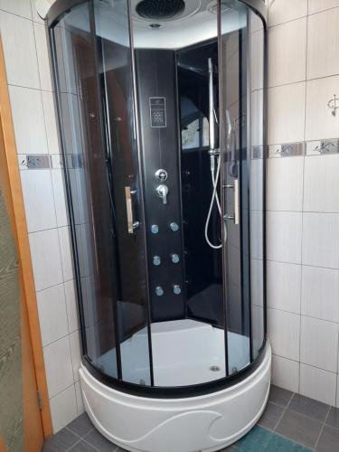 y baño con ducha y puerta de cristal. en Rogosi mõisa apartment, en Ruusmäe
