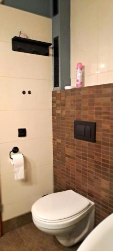 baño con aseo blanco y azulejos marrones en Stare Miasto Widok na Katedrę, en Olsztyn