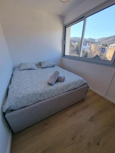 un lit dans une chambre avec une grande fenêtre dans l'établissement Le Landouzy #Parking#Netflix, à Chamalières