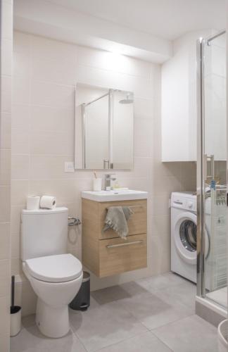 une salle de bain avec toilettes et lavabo et une machine à laver dans l'établissement Parking - L'Ambre - Balcon, à Strasbourg