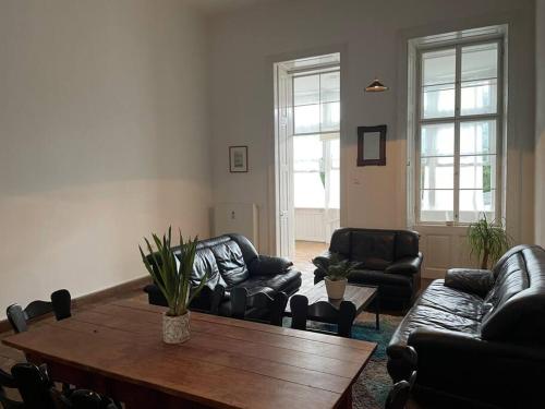 Gallery image of Geräumige Altbauwohnung im Zentrum in Graz