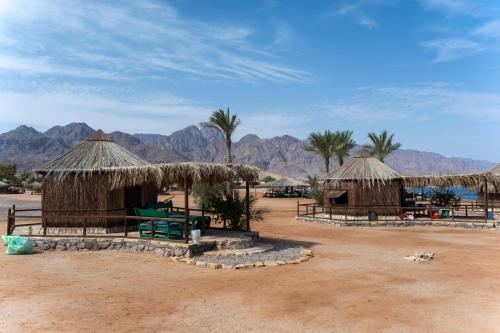 a group of huts in the desert with palm trees and mountains at Castle Beach in Nuweiba