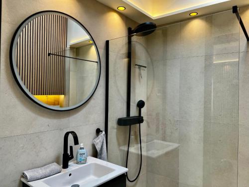 a bathroom with a shower and a sink and a mirror at HafenCity-Loft Stralsund in Stralsund