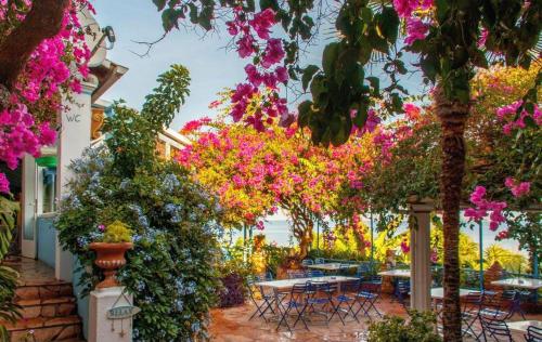 Imagen de la galería de ANEMOMYLOS Lefkimmi LUXUS SUITES-BOUTIQUE HOTEL & POOL, en Lefkimmi