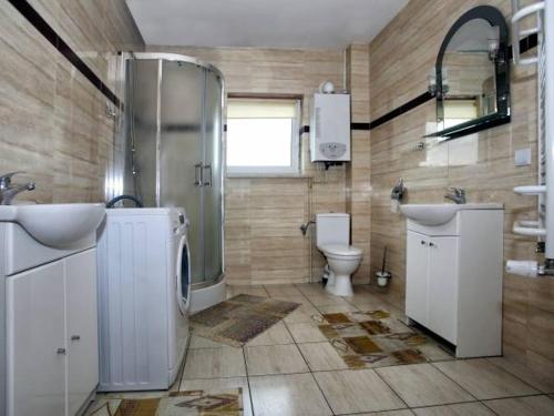 a bathroom with a toilet and a shower and a sink at Noclegi Pracownicze LAZUR in Ciechanów