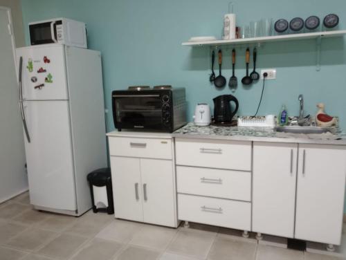 a kitchen with a white refrigerator and a microwave at MUY LUMINOSO in Lomas de Zamora