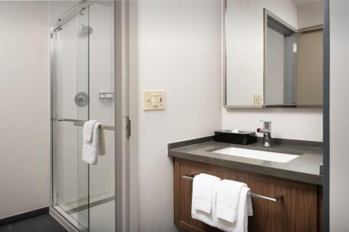 Koupelna v ubytování Courtyard by Marriott San Diego Carlsbad