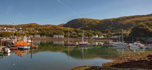 a bunch of boats are docked in a harbor at Central house in Mallaig