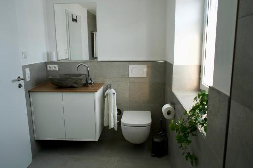 ein Badezimmer mit einem weißen WC und einem Waschbecken in der Unterkunft Haus Allgäu Wohnung Wertachauen in Türkheim