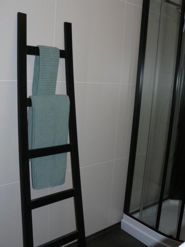 a ladder next to a mirror in a bathroom at Huset Alcamaro in Haugland