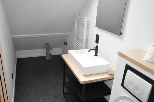 ein Badezimmer mit einem weißen Waschbecken und einem Spiegel in der Unterkunft Magnifique logement, 2 chambres, in Péruwelz