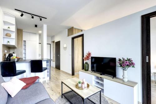 STAR cozy apartment in a modern neighborhood في براتيسلافا: غرفة معيشة مع أريكة وتلفزيون