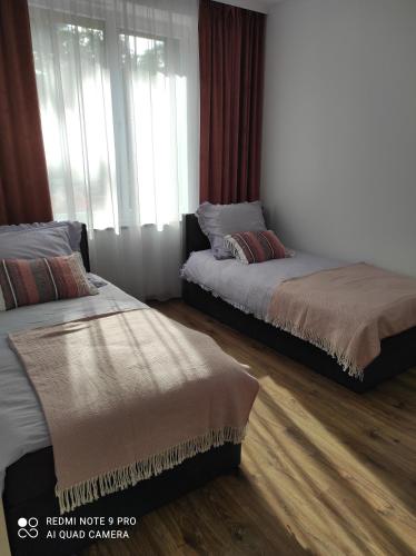 sypialnia z 2 łóżkami i oknem w obiekcie Apartament Dawna Mleczarnia Apartament Sosnowy w mieście Nowa Ruda