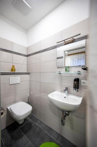 a bathroom with a toilet and a sink at Die Schlafstube - Bed & Breakfast in Zeltweg