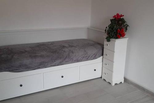 Caterina Apt San Lorenzo 2camere