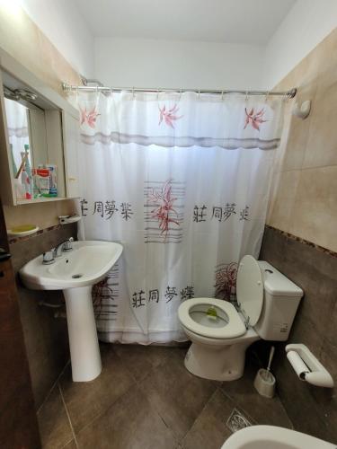 a bathroom with a toilet and a sink and a shower curtain at Amplio Monoambiente con buena ubicación in Paraná