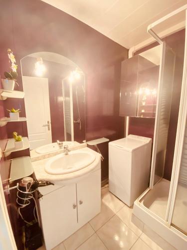 une salle de bain avec un lavabo blanc et un miroir dans l'établissement APPARTEMENT GRAU DU ROI - FRONT DE MER - CENTRE VILLE -RIVE GAUCHE, au Grau-du-Roi