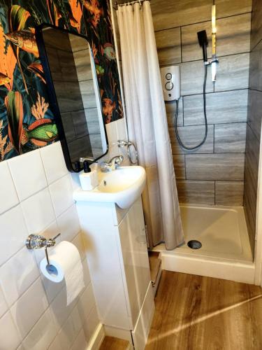 y baño con lavabo, ducha y espejo. en Home to home studio flat - only 6 minutes to centre - perfect for contractors working in and around Nottingham, en Nottingham