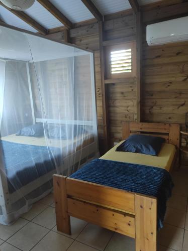 2 camas en una habitación con pared de cristal en Le Tri Haut de Bellevue - Bungalow Héliconia, en Pointe-Noire