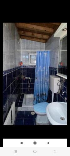 a blue tiled bathroom with a toilet and a sink at Vlado apartments in Podgorica