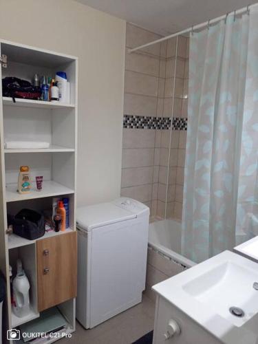 y baño con ducha, lavabo y lavadora. en Superbe chambre confortable et lumineuse en appartement, en Bry-sur-Marne