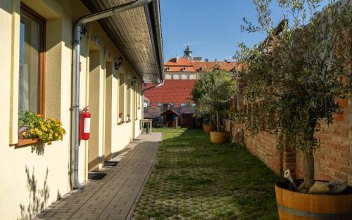 an alley between two buildings with plants on the side at Penzion Alenka Valtice in Valtice