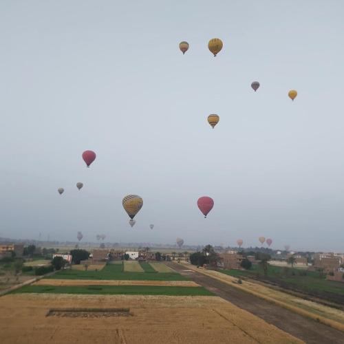 een groep heteluchtballonnen die in de lucht vliegen bij Happy home in Luxor