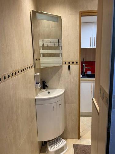 une salle de bain avec des toilettes et un lavabo dans l'établissement Appartement charmant proche Paris, à Ivry-sur-Seine