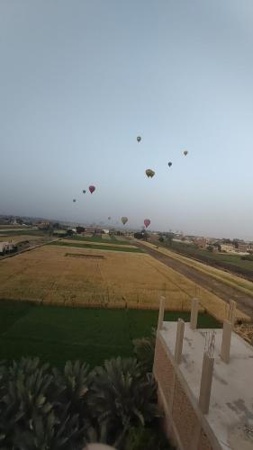 een groep vliegers die boven een veld in de lucht vliegen bij Happy home in Luxor