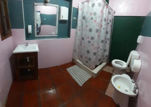 a bathroom with a toilet and a sink and a shower at Hospedaje La Rana in Buenos Aires