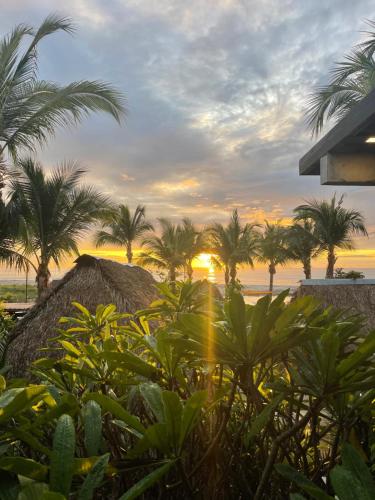 uma vista para uma praia com palmeiras e o pôr-do-sol em San Carlos Surf Resort & Eco Lodge em San Carlos