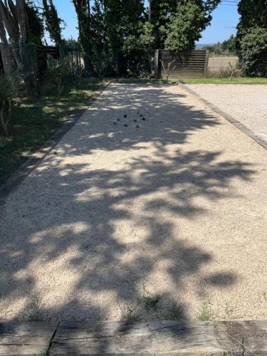 a road with a bunch of birds on it at Domaine de La Franquette by Bridget & Pascal - Piscine Chauffée & SPA in Caderousse